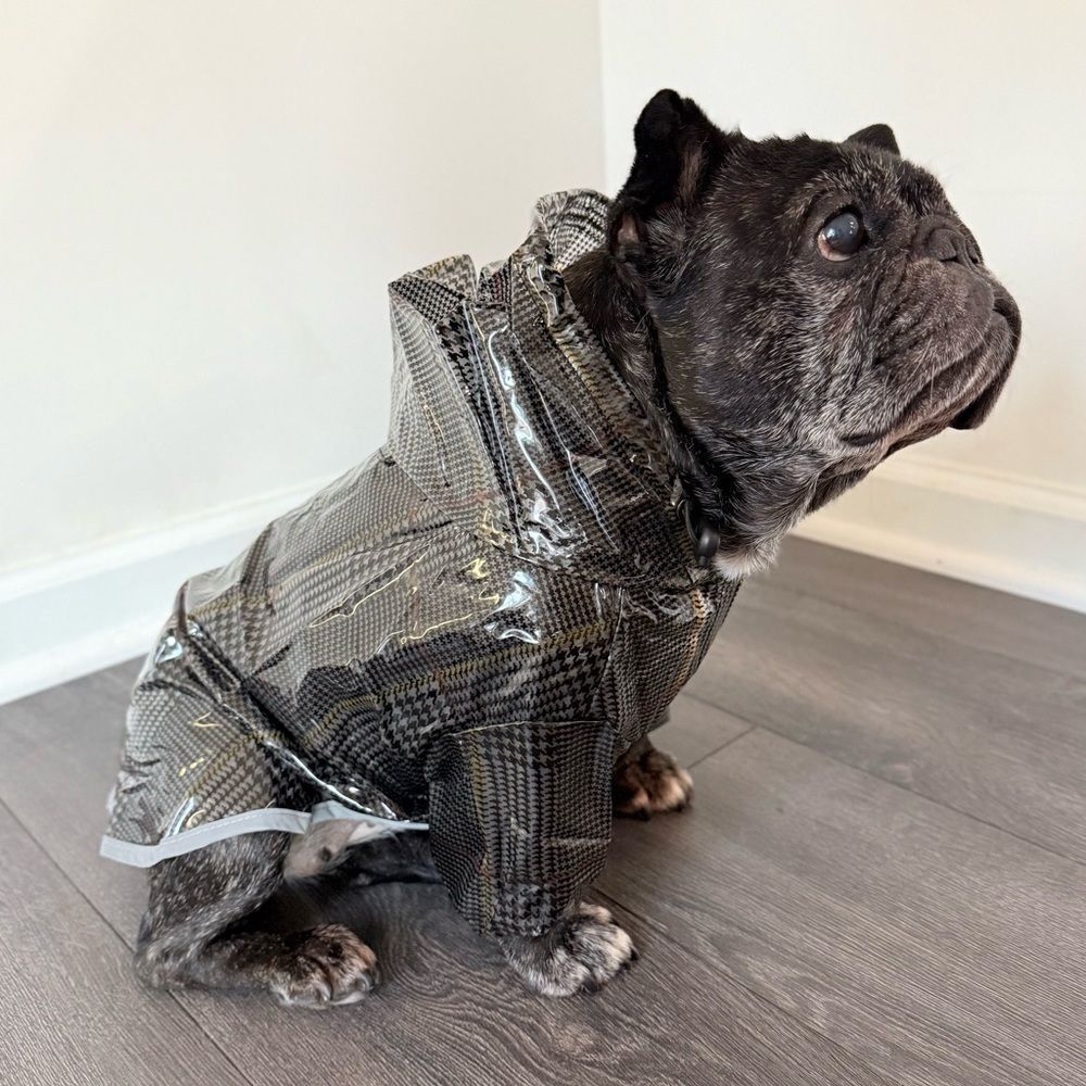 Stylish Cream Dog Raincoat with Plaid Print